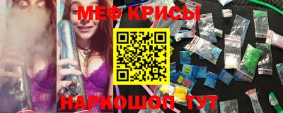 крисы Кулебаки