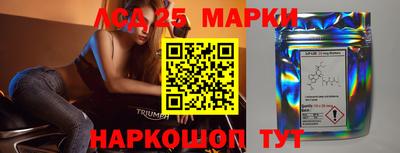 крисы Кулебаки