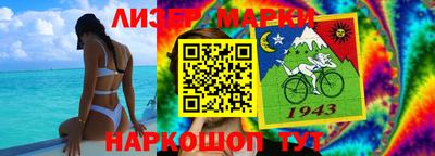 крисы Кулебаки
