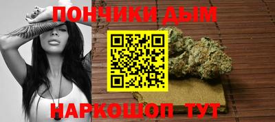 крисы Кулебаки