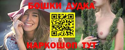 крисы Кулебаки