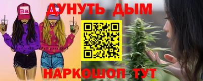 крисы Кулебаки