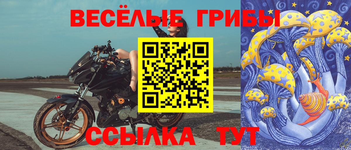 Галлюциногенные грибы Cubensis Губкинский