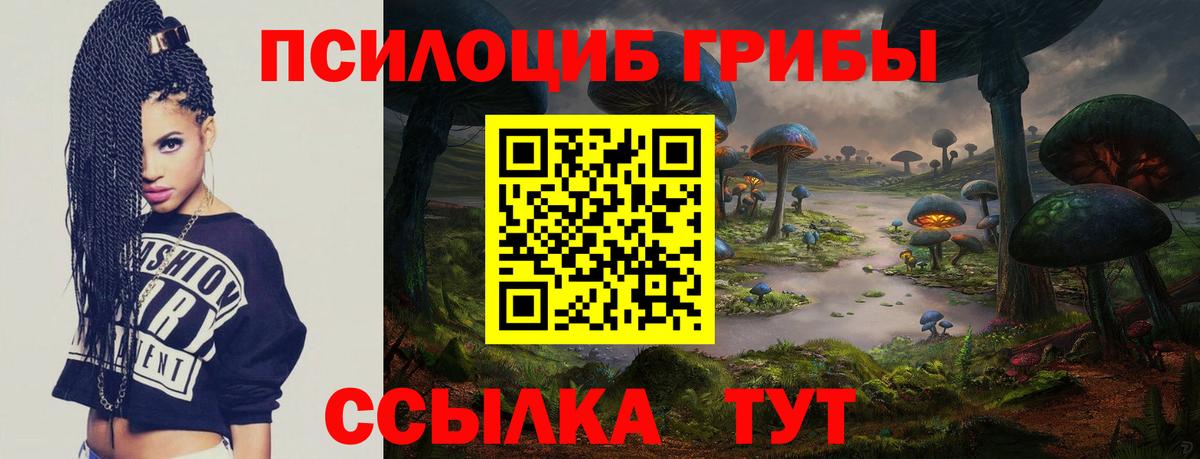 Губкинский  Галлюциногенные грибы ЛСД  Вход с VPN  Галлюциногенные грибы Psilocybine cubensis 